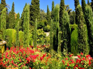 Voller Garten